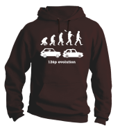 126p Evolution - bluza męska z kapturem brązowa